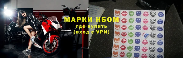 стафф Елизово