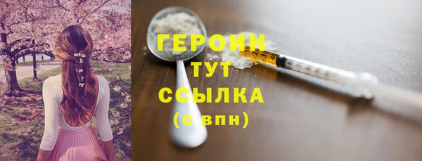 прущие грибы Елабуга