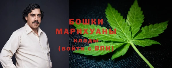 прущие грибы Елабуга