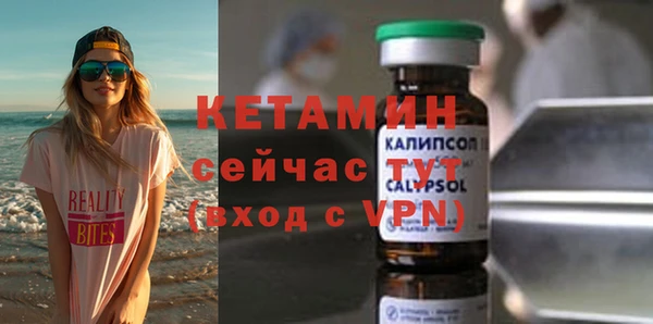 прущие грибы Елабуга
