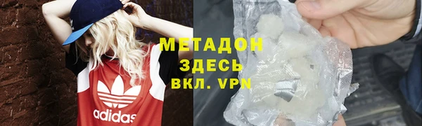 прущие грибы Елабуга