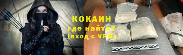 прущие грибы Елабуга