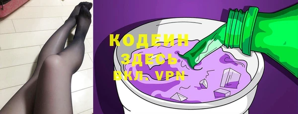 прущие грибы Елабуга