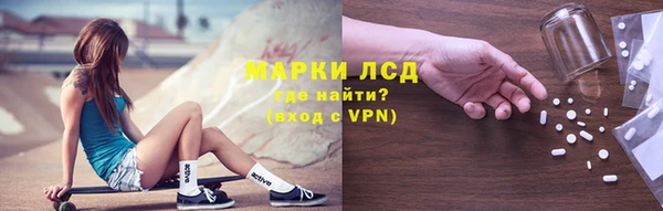 стафф Елизово