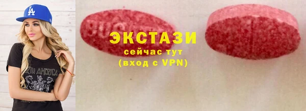 прущие грибы Елабуга