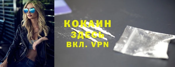 прущие грибы Елабуга