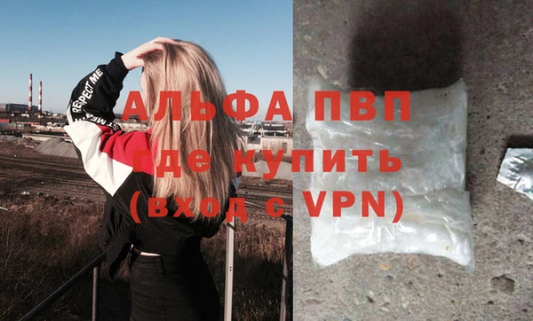стафф Елизово