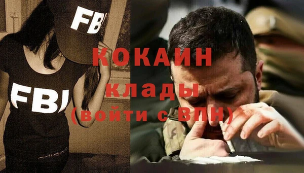 прущие грибы Елабуга