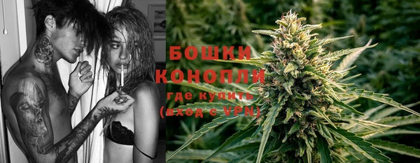 прущие грибы Елабуга