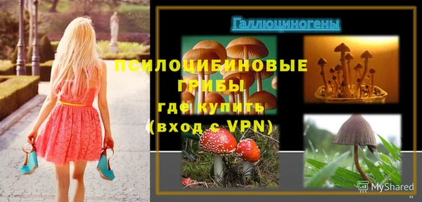 марки nbome Ельня