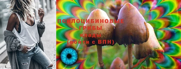 стафф Елизово