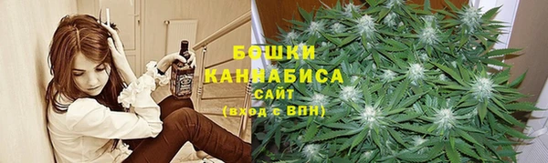 стафф Елизово